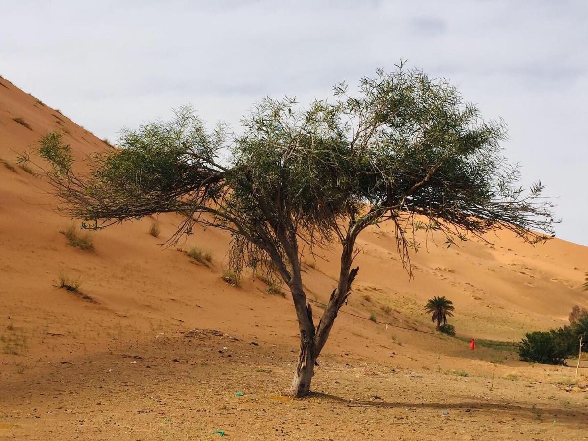 Erg Chebbi Stars Camp Merzouga Exterior photo